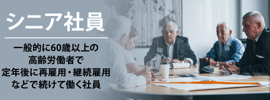 シニア社員の活用が注目される理由